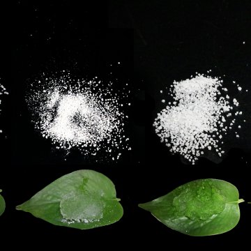 Fast Water Absorption SAP